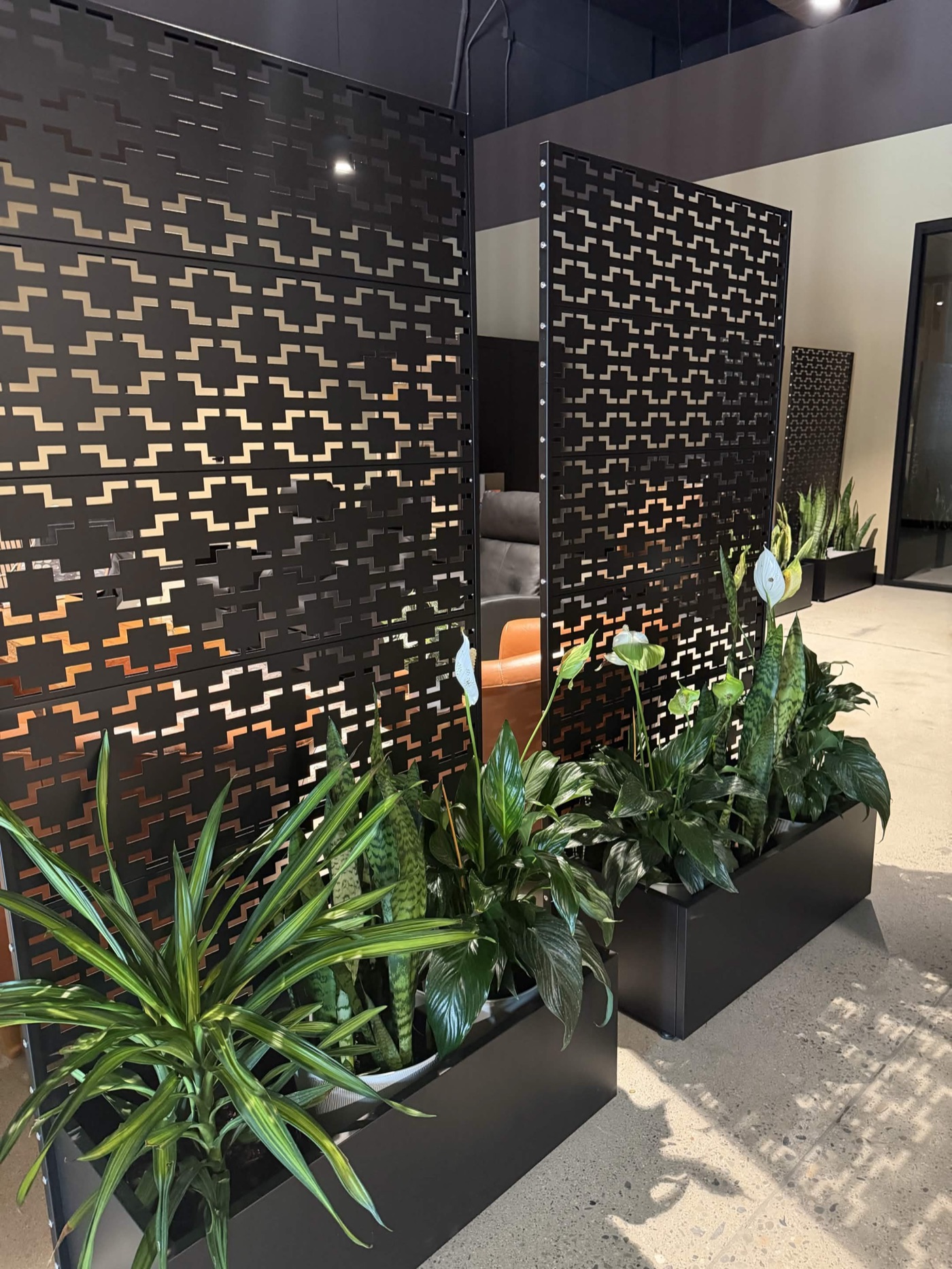 Recovery lounge with privacy screens